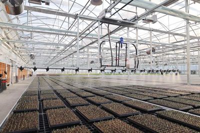 九色油菜花 科技繪就春之斑斕，新質生產力在杭州花田綻放